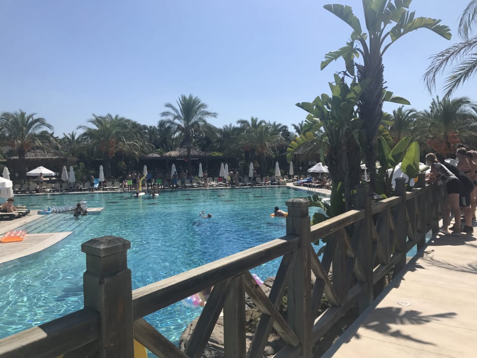 Pool Royal Wings Hotel