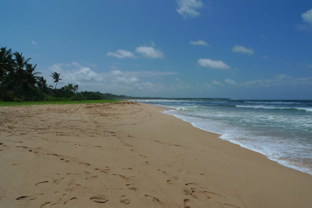 Hotelstrand, Blick nach Süden Heritance Ahungalla