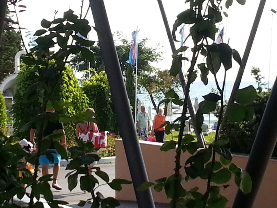 Hotel Poseidon Palace alltoura Club Hotel Poseidon Palace