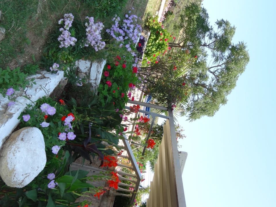Blütenpracht Hotel Maistrali