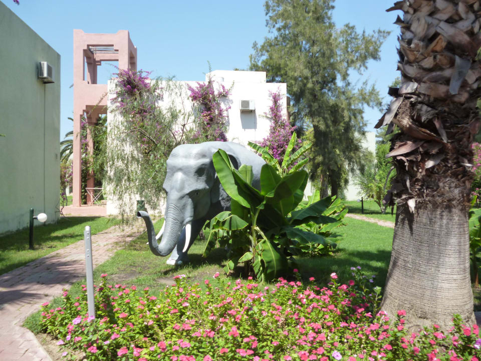 Auch Elefanten waren da VONRESORT Golden Beach