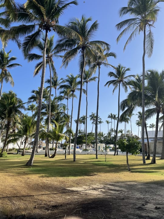 Gartenanlage Grand Sirenis Punta Cana Resort & Aquagames