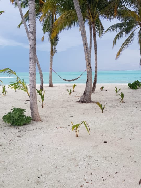 Strand Hotel Riu Atoll