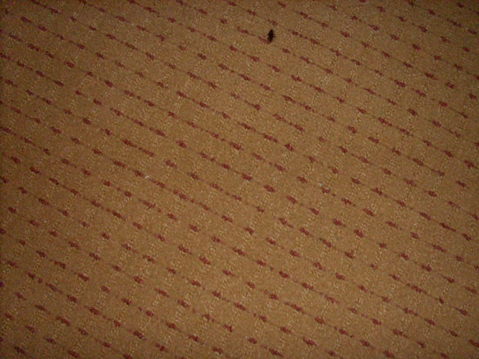 Meine Besucherin Hotel Kehrwieder am Kur-Cafe