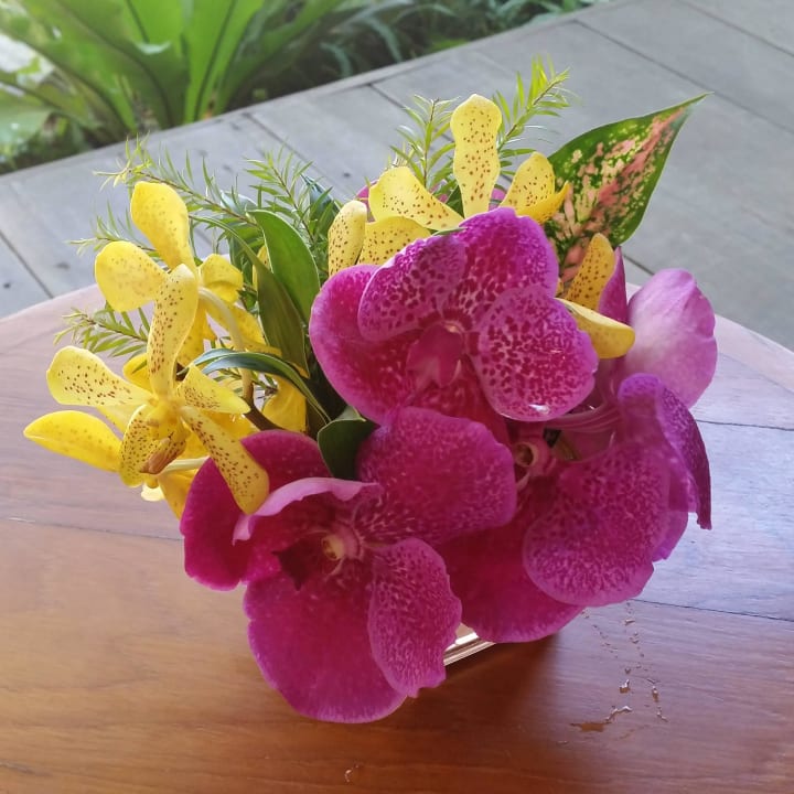 Frisch auf dem Terrassentisch Hotel Baan Talay Dao