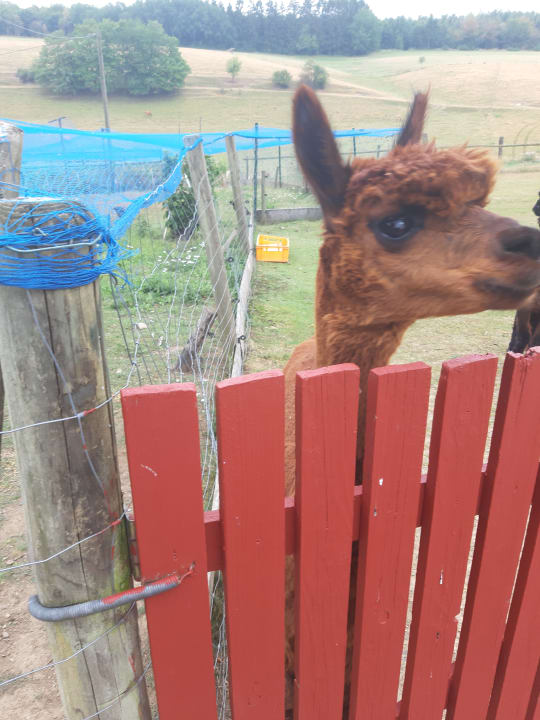 Sonstiges Ferienhof Hubertushof Eifel