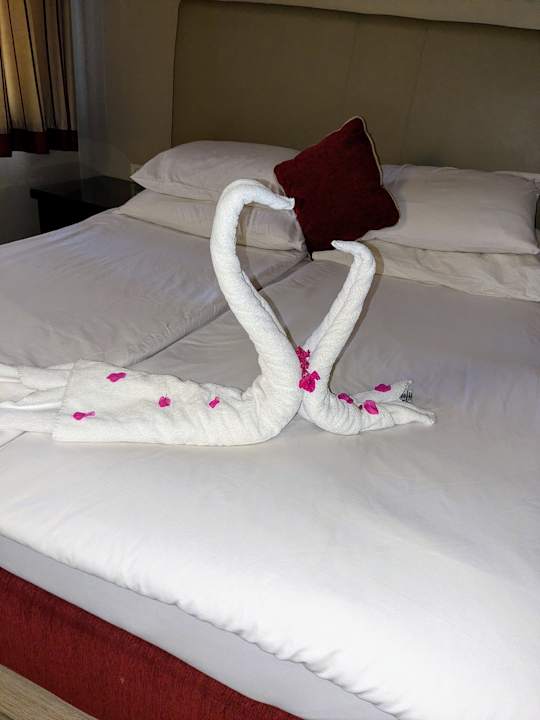 Zimmer Jaz Makadi Oasis Resort