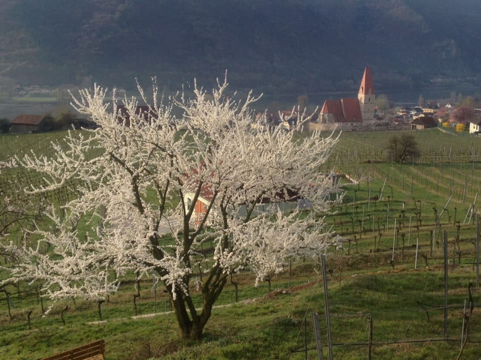 Sonstiges Gästehaus Turm Wachau