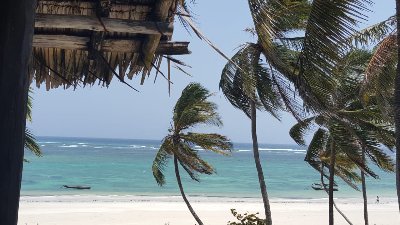 Ausblick vom Balkon Hotel Southern Palms Beach Resort