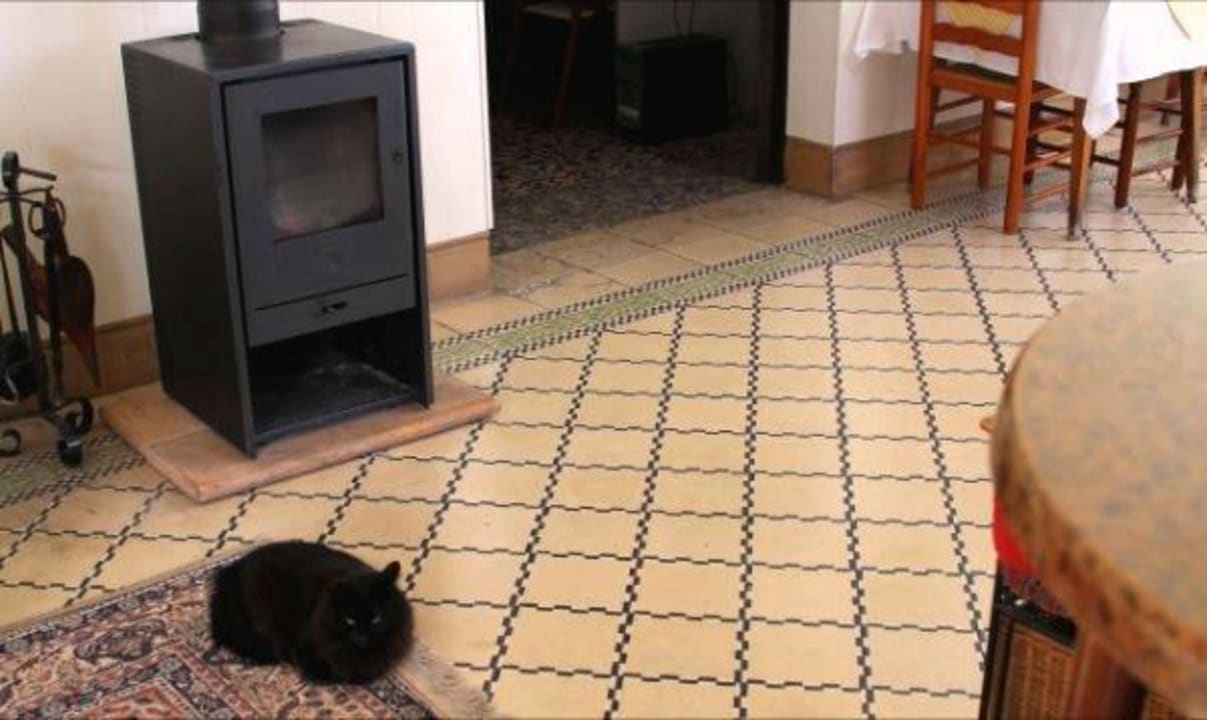 Estufa bar La Mimosa Guesthouse B&B