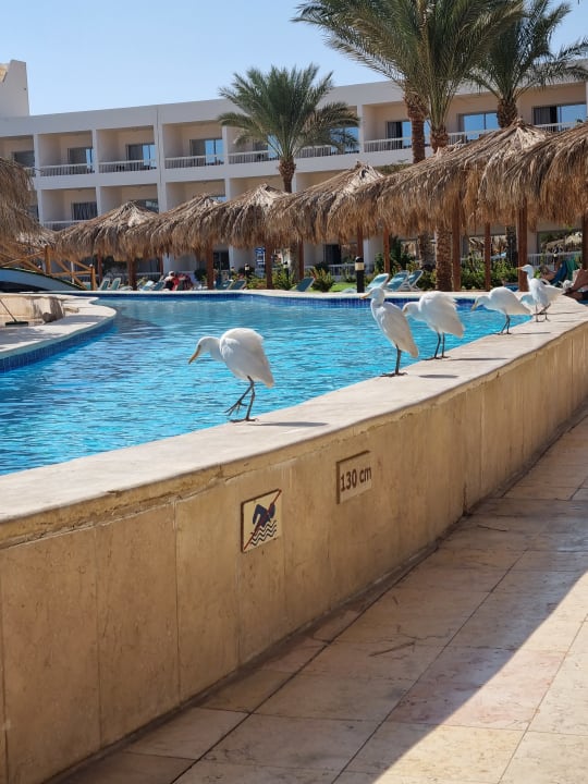 Außenansicht Hurghada Long Beach Resort