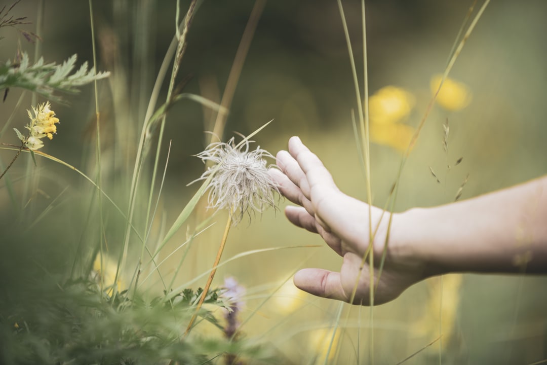 Sonstiges Hotel Goldener Berg - Your Mountain Selfcare Resort