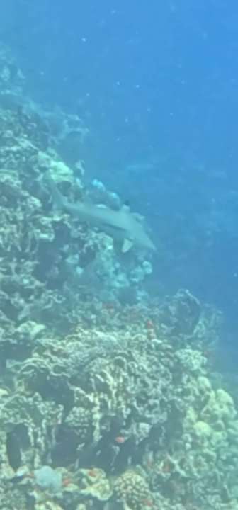 Strand Casa Mare Resort