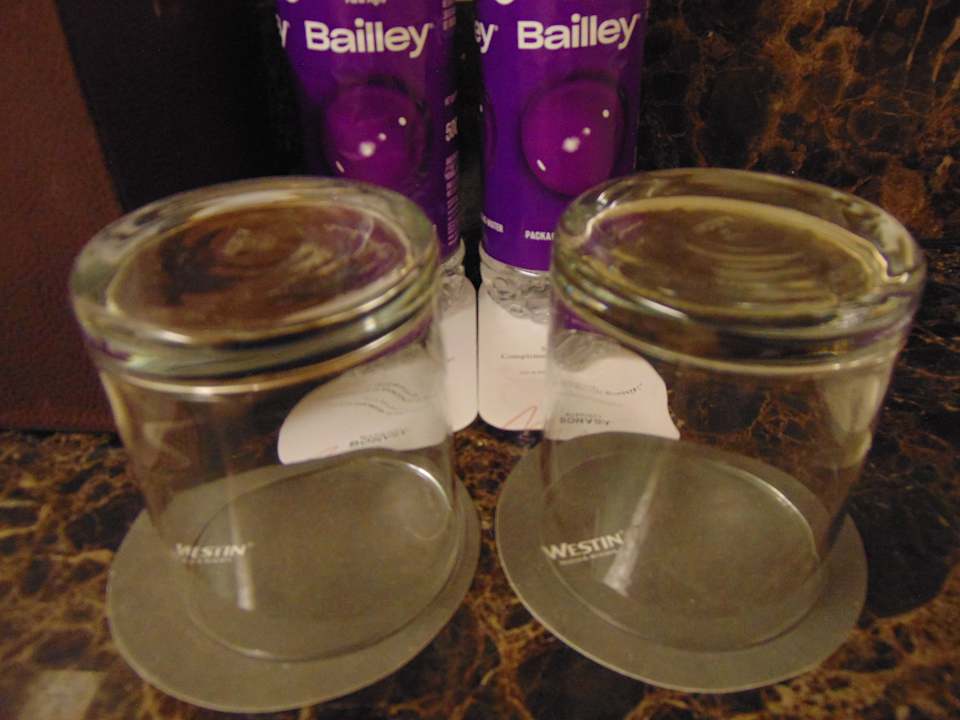 Zimmer Hotel The Westin Chennai Velachery