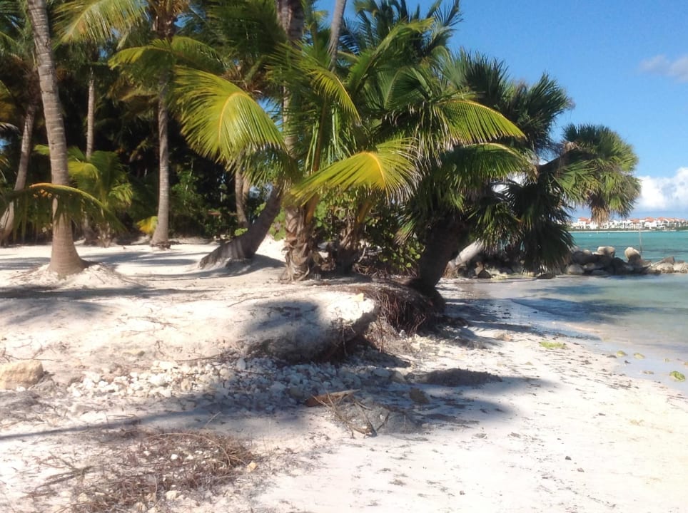 Strand  Secrets Cap Cana Resort & Spa - Adults only