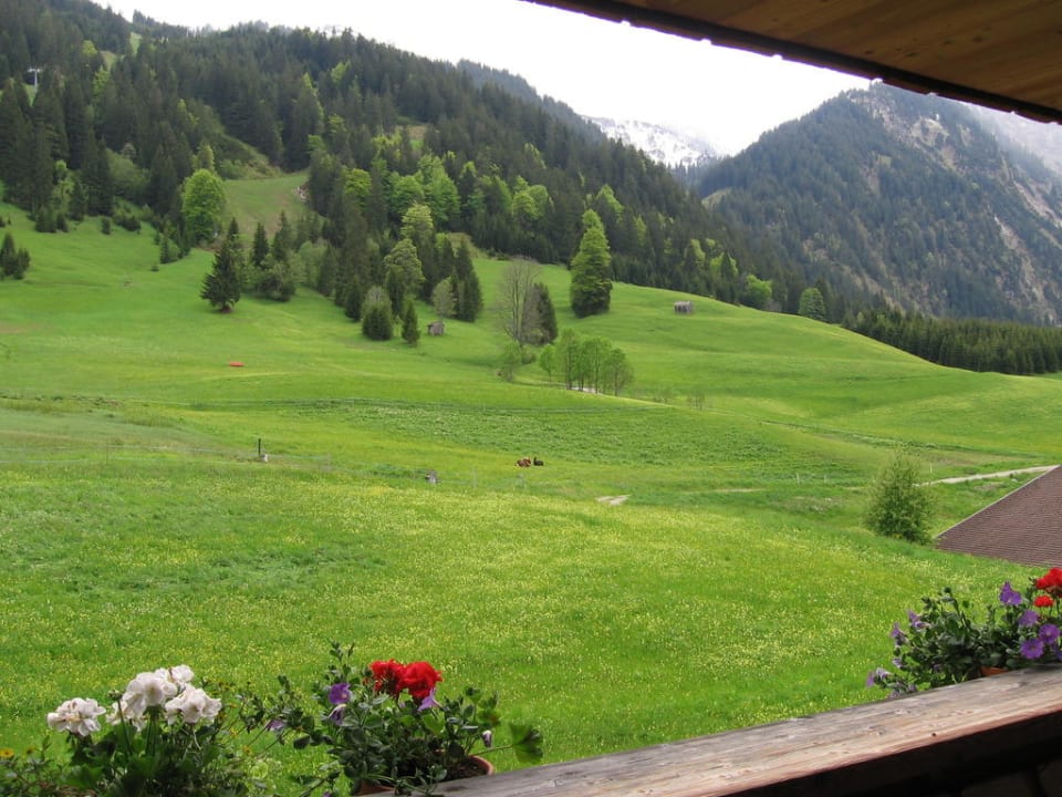 Blick vom Balkon Jungbrunn - Der Gutzeitort