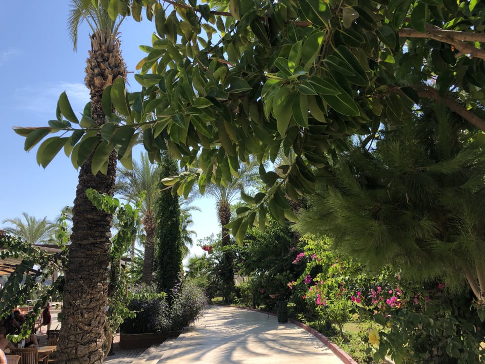 Gartenanlage Saphir Resort & Spa