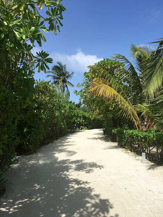 Außenansicht Cocoon Maldives