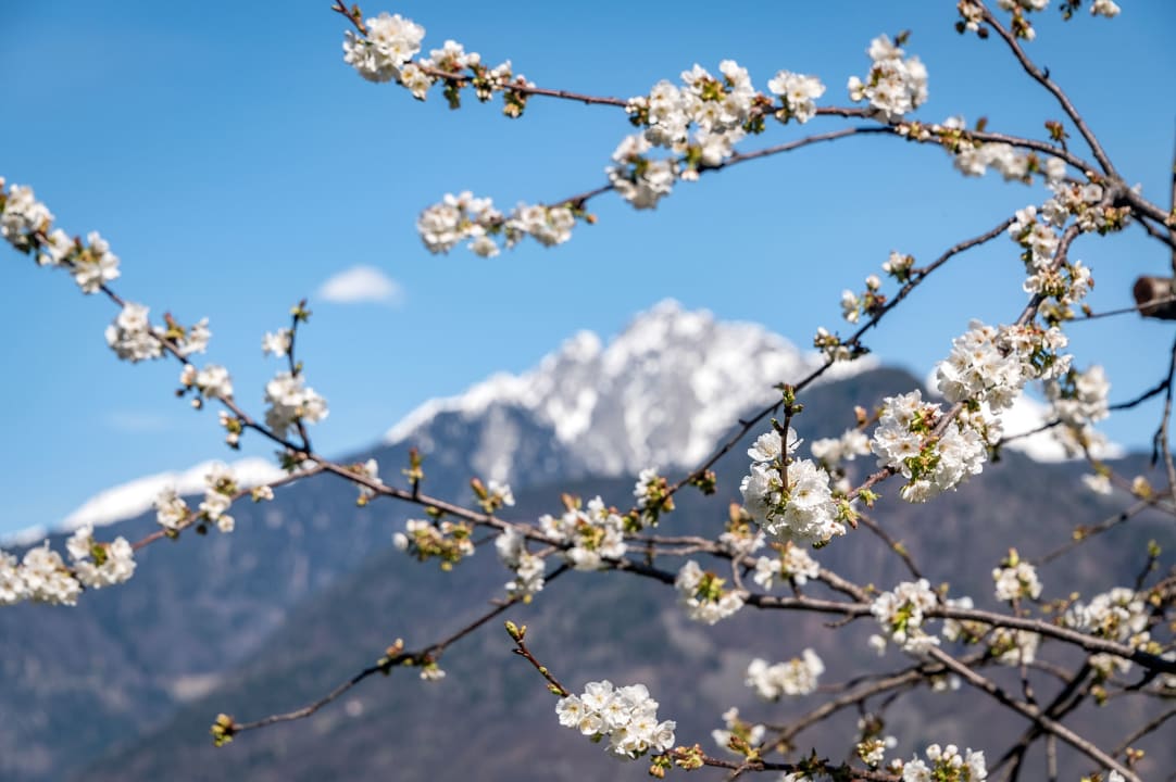 Außenansicht Residence Georgenhöhe