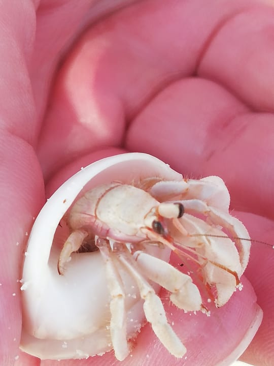 Sonstiges Summer Island Maldives