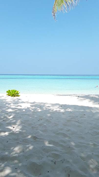 Ohne... Summer Island Maldives