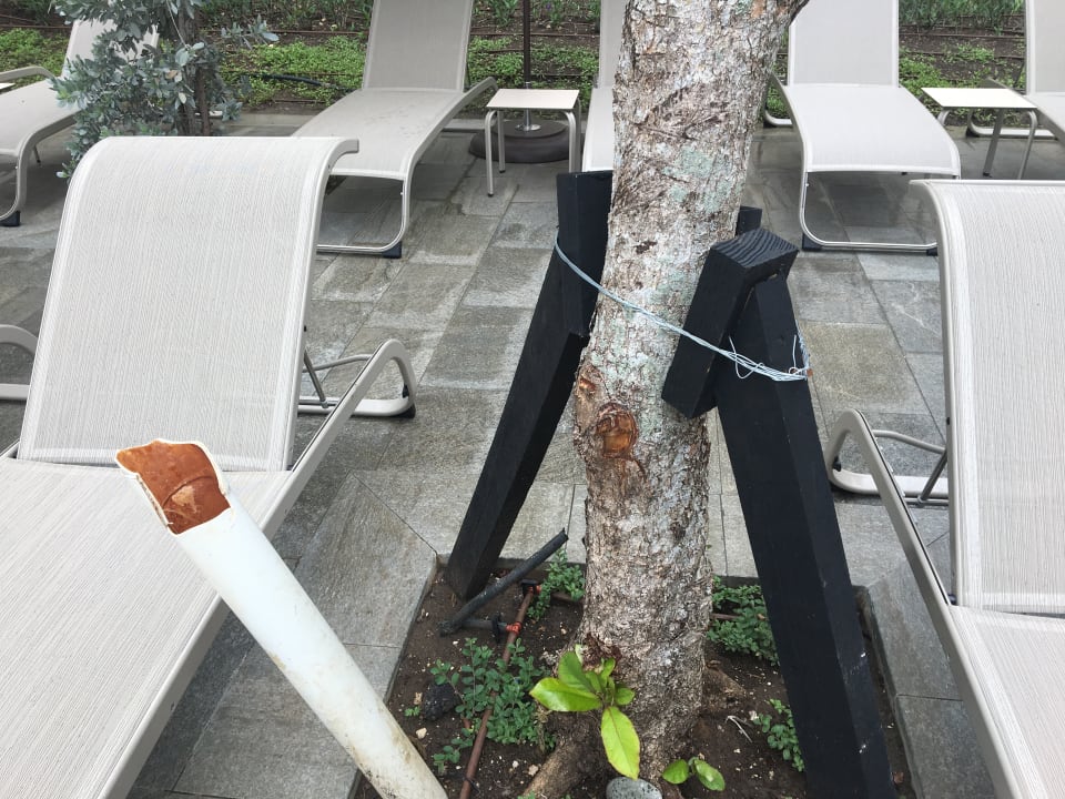 Pool Lopesan Costa Bávaro Resort, Spa & Casino