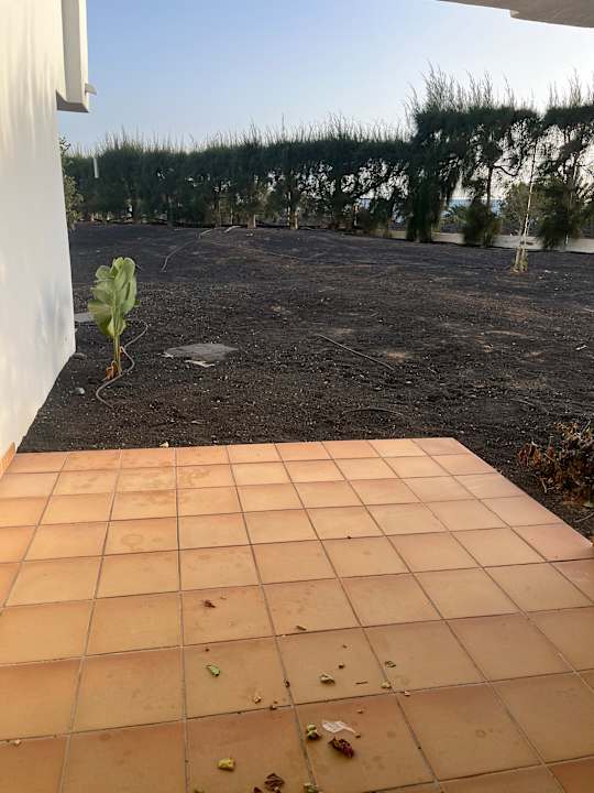 Ausblick allsun App.-Hotel Albatros