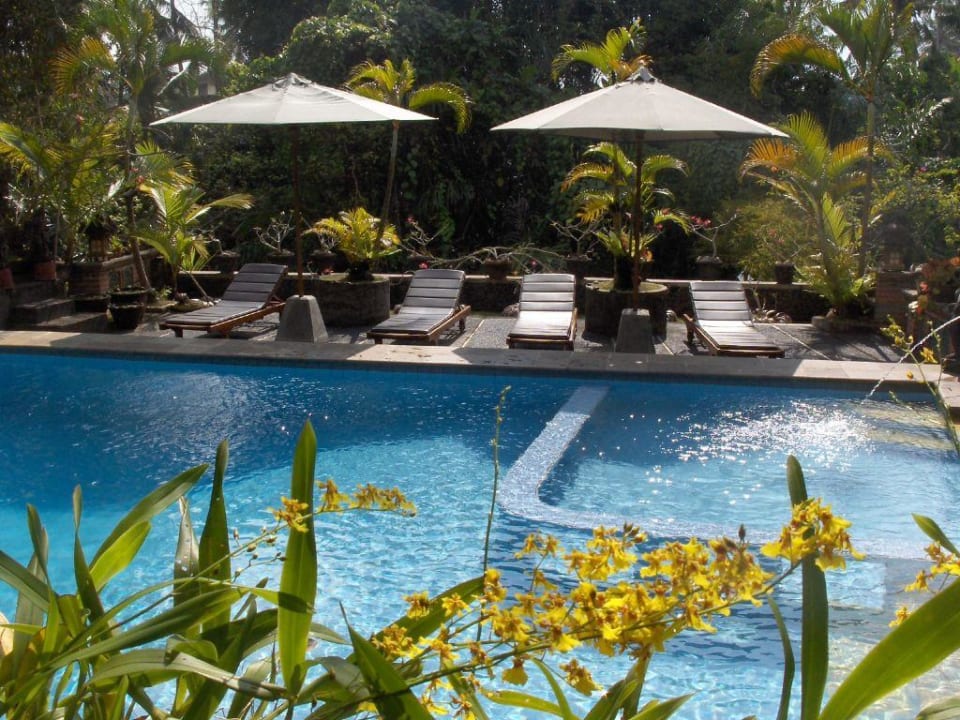 Pool vor grünem Canyon Hotel Ketut's Place