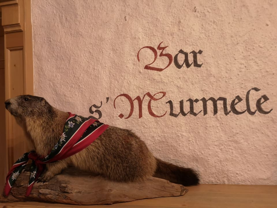 Gastro Hotel Alpenstüble