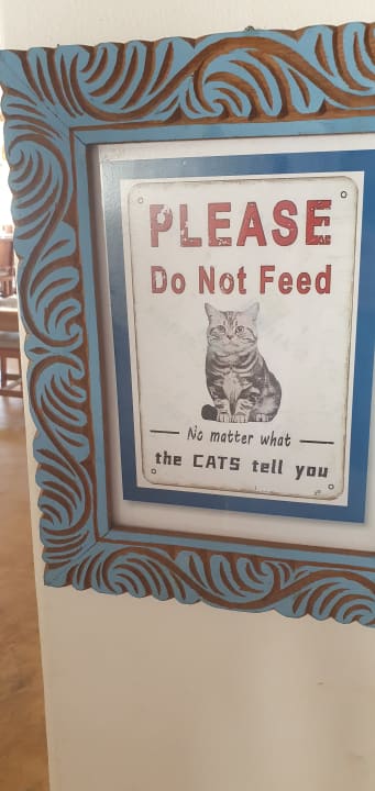 Sonstiges SBH Monica Zanzibar