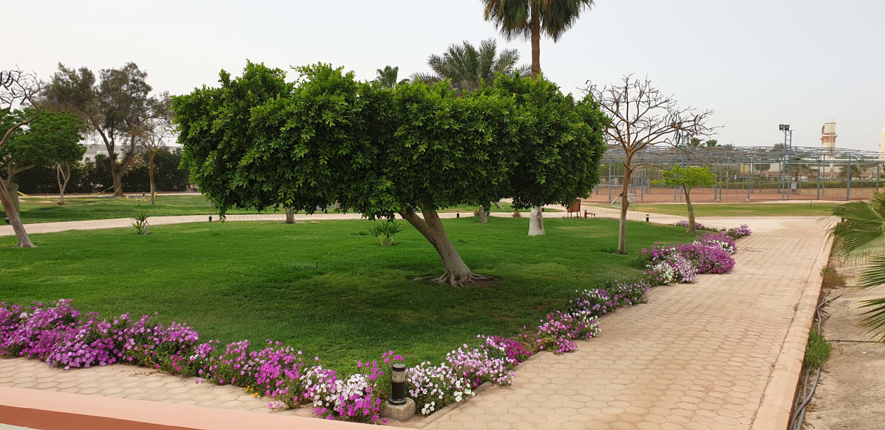 Gartenanlage Pharaoh Azur Resort