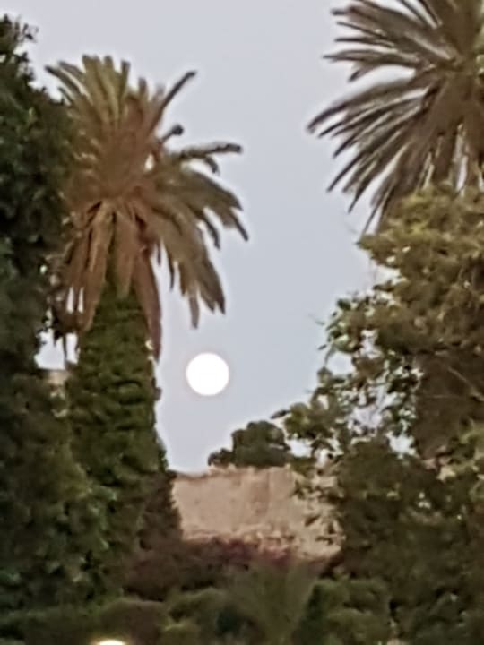 Ausblick Rhodos Horizon Resort