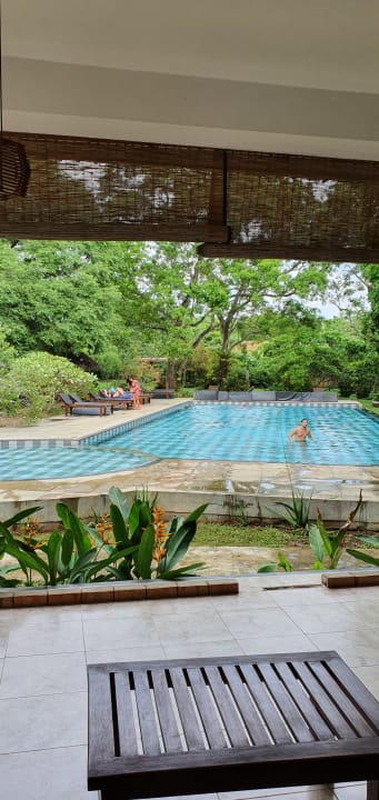 Pool Blue Turtle Hotel