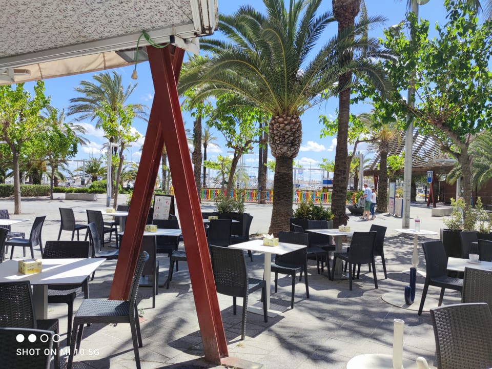 Gastro Alcudia Garden Aparthotel