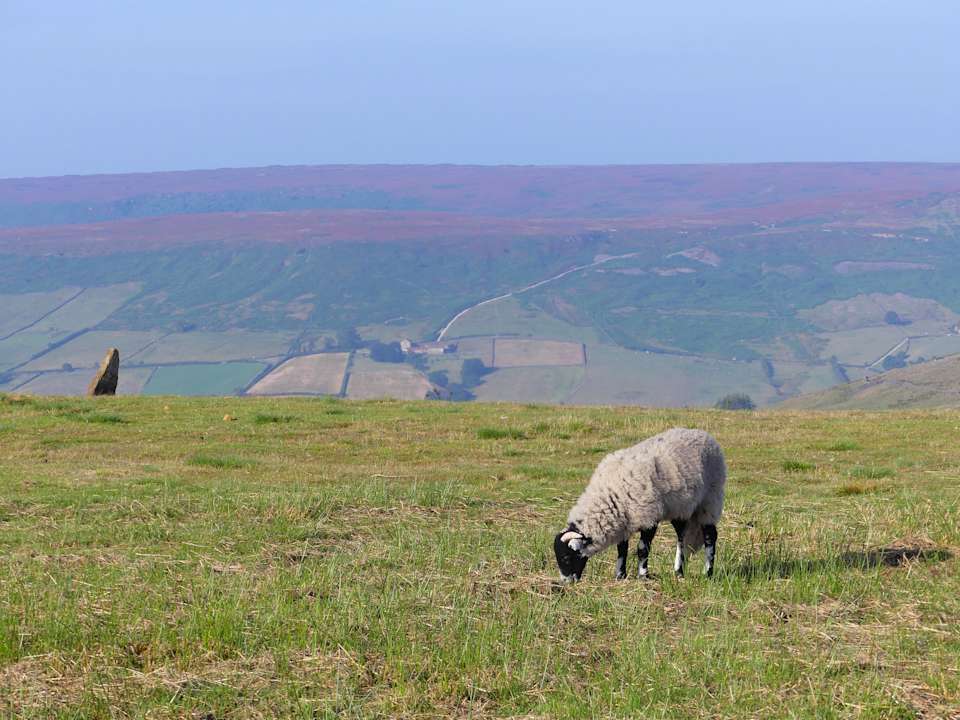 Ausblick The Lion Inn, Blakey Ridge