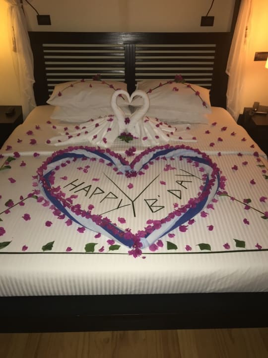 Zimmer Canareef Resort Maldives