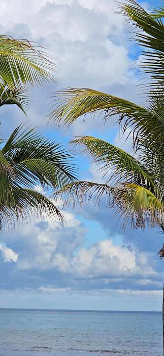 Strand Hotel Riu Palace Riviera Maya