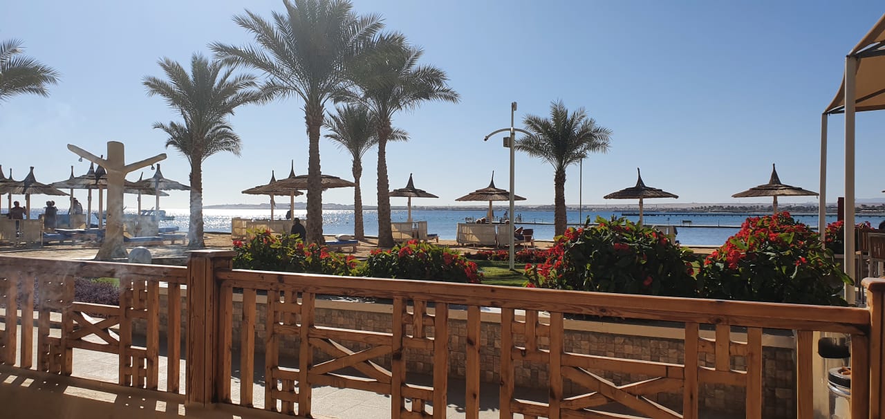 Ausblick Beach Albatros Resort