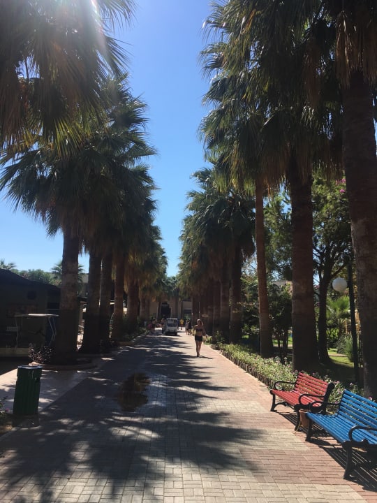 Strand VONRESORT Golden Beach