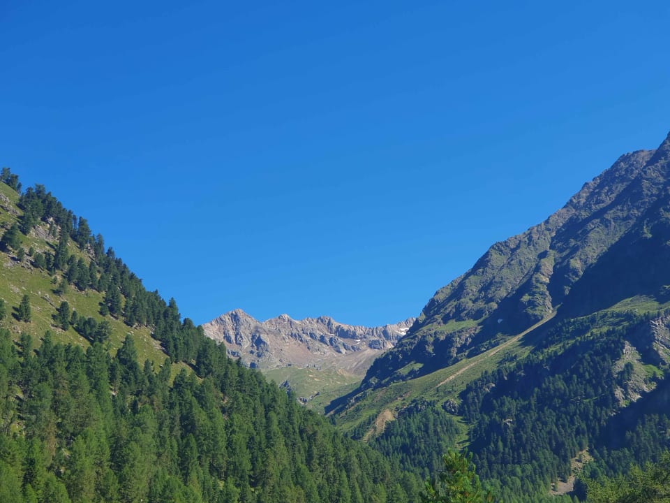 Sonstiges Almhotel Glieshof