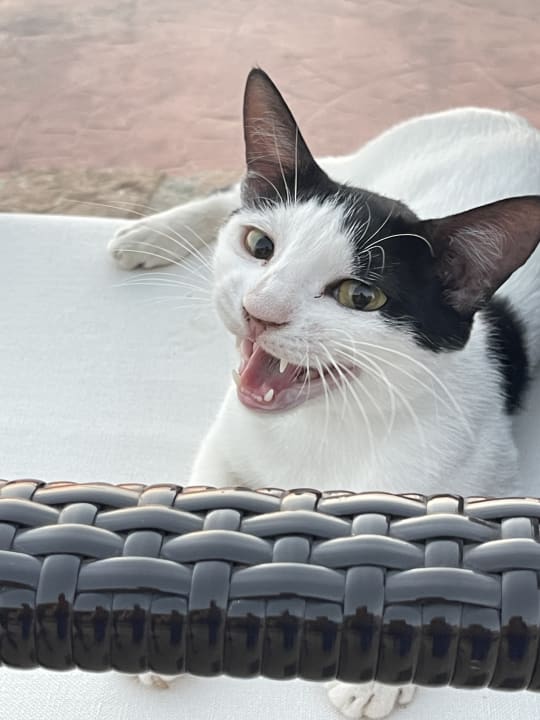 Sonstiges Three Corners Equinox Beach Resort