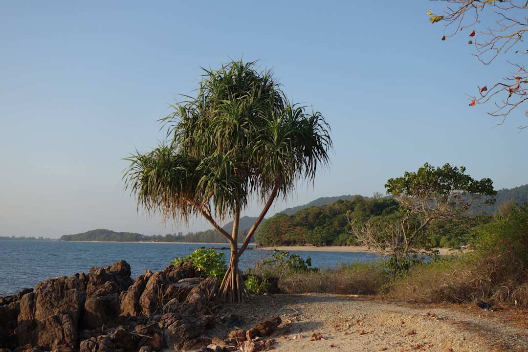Plaża Hotel Relax Bay Koh Lanta