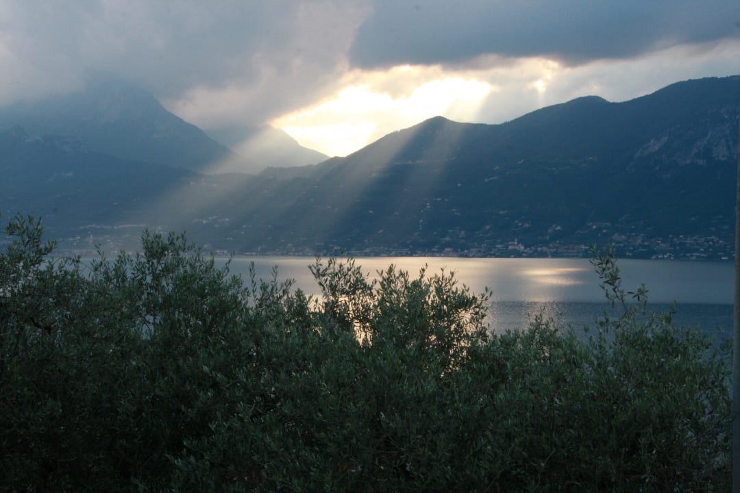 Abendsonne vom Balkon Agriturismo Uliveta