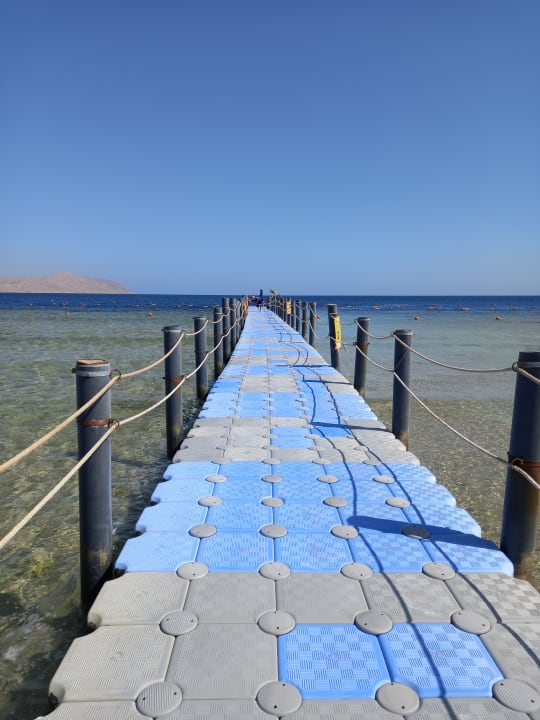 Strand Pickalbatros Palace Resort