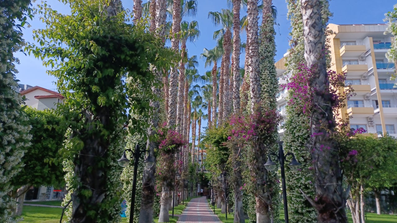 Gartenanlage Hotel Gardenia Beach