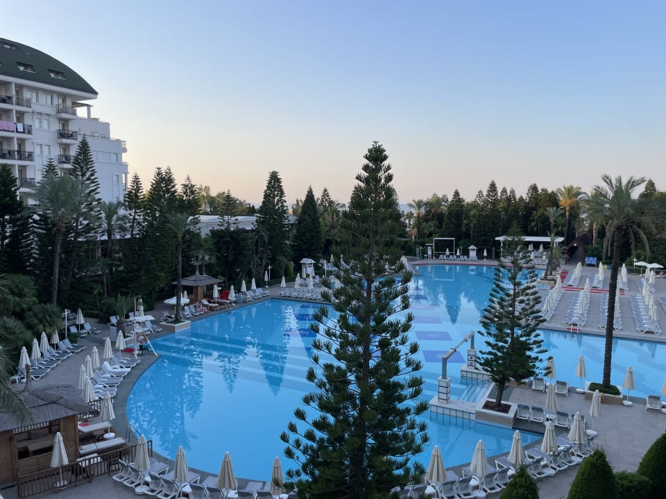 Pool Hotel Delphin Diva