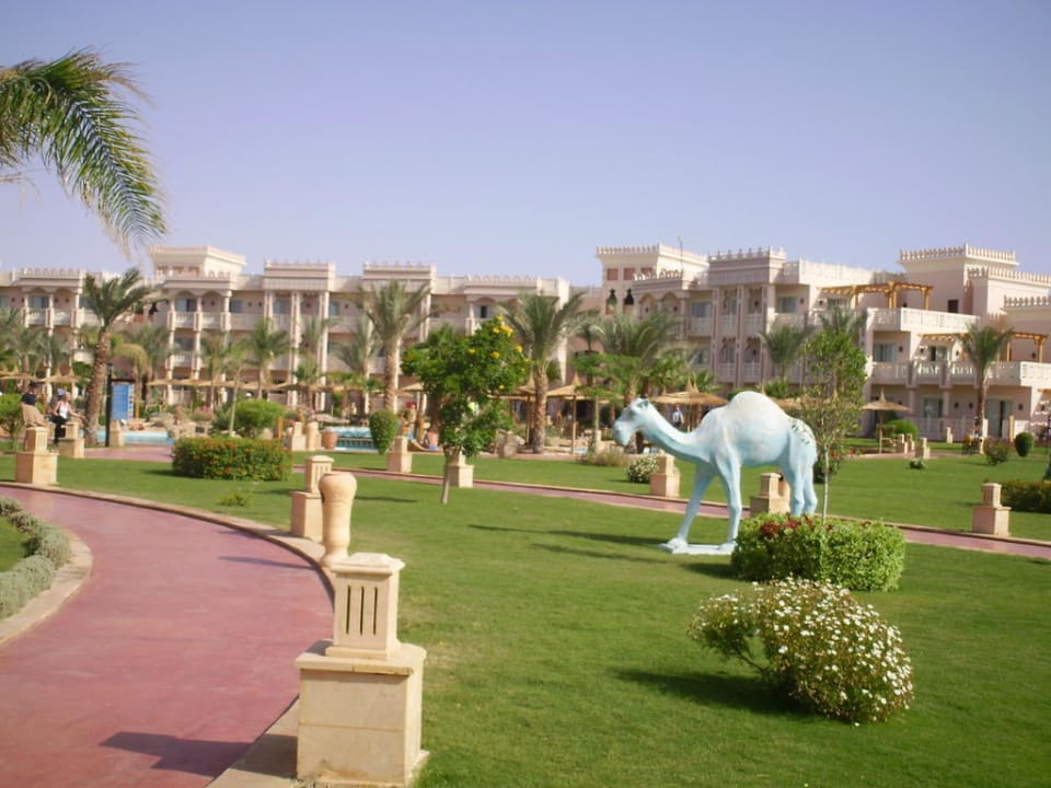 Garten mit Kamel Pickalbatros Palace Resort