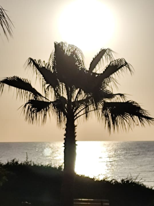 Ausblick Three Corners Equinox Beach Resort