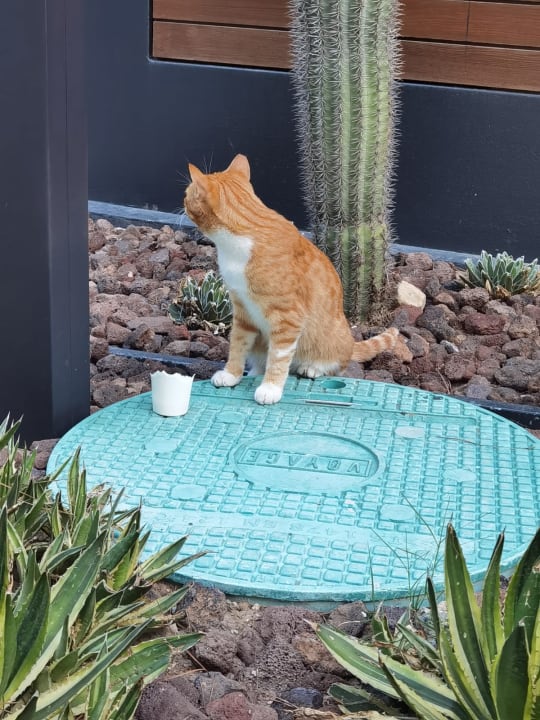 Sonstiges Voyage Belek Golf & Spa