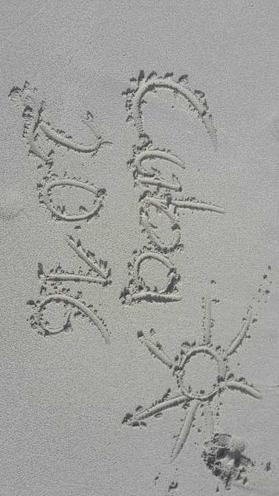 Sandstrand Sol Palmeras